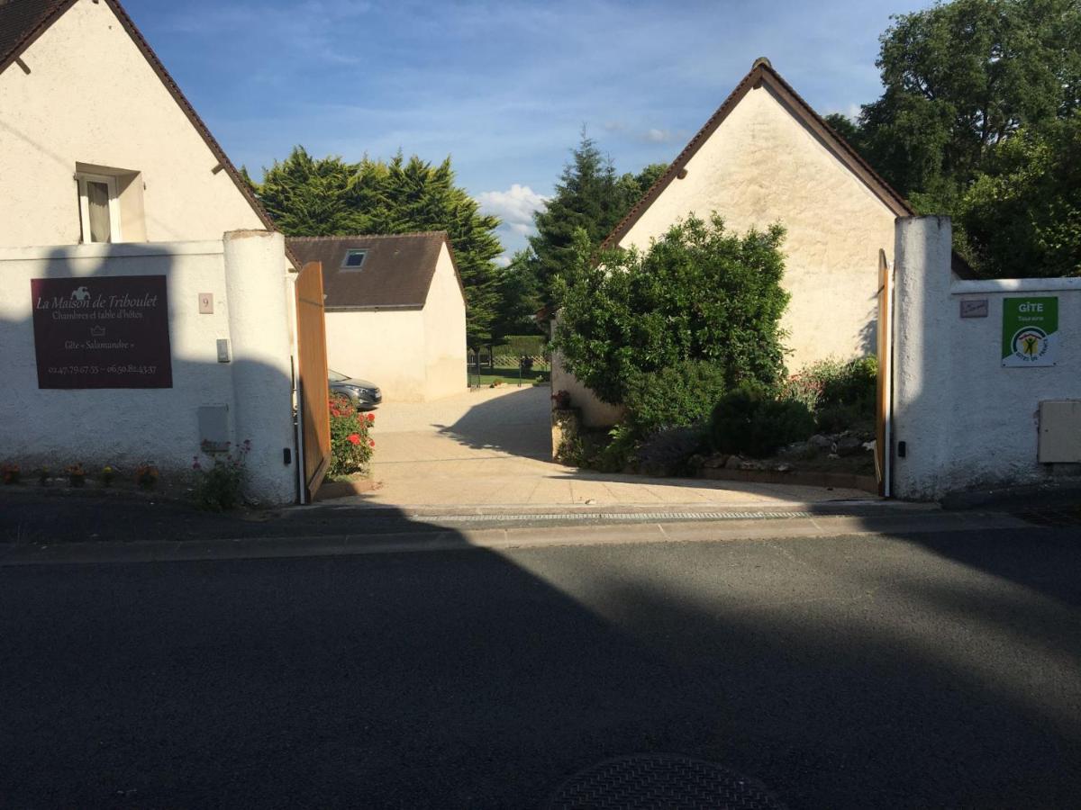 La Maison De Triboulet Chambres Et Table D'Hotes -Amboise- Pocé-sur-Cisse Zewnętrze zdjęcie